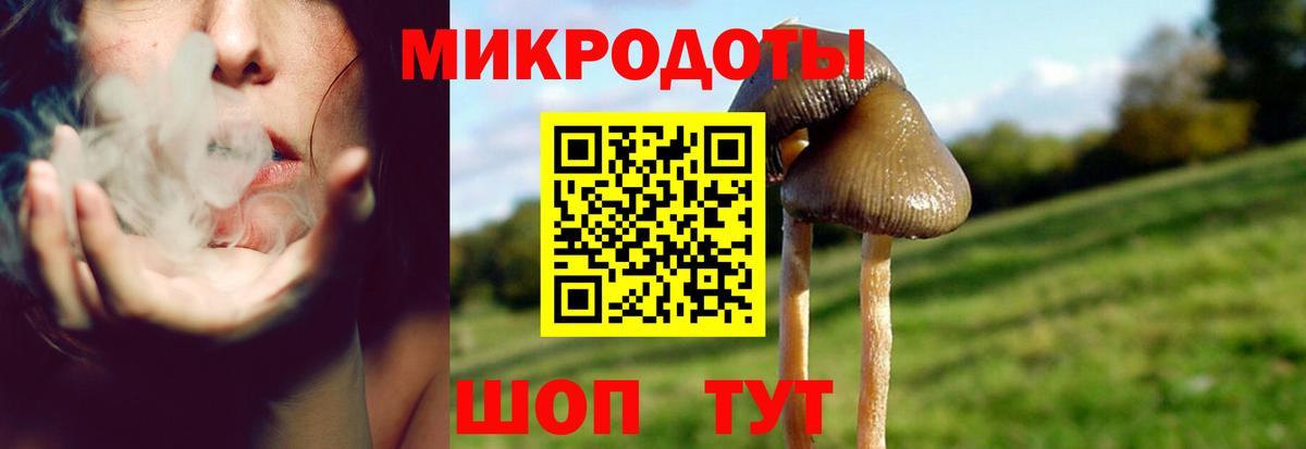сколько стоит  Вход с VPN  Елизово  Псилоцибиновые грибы Magic Shrooms 